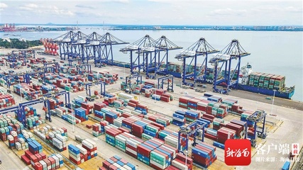 自贸港焦点丨兼备内外贸、通达近远洋,海南洋浦航运产业快速发展